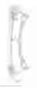Fig. 08 - Archery bow with circular string track