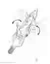 Fig. 02 - Retainer for broadhead blades