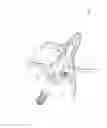 Fig. 08 - Retainer for broadhead blades