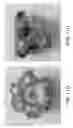 Fig. 13 - Bullet with controlled fragmentation
