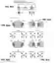 Fig. 07 - Position sensor and method of position sensing