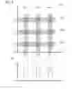 Fig. 05 - Particle analysis and sorting apparatus and methods