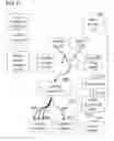 Fig. 07 - Particle analysis and sorting apparatus and methods