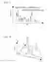 Fig. 07 - Dynamic high-speed high-sensitivity imaging device and imaging method