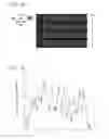 Fig. 19 - Dynamic high-speed high-sensitivity imaging device and imaging method