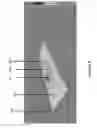 Fig. 05 - Device for reading an IVD assay
