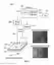 Fig. 03 - Molecular enhanced based surface enhanced raman spectroscopy to detect low concentration of monoethanolamine