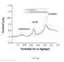 Fig. 21 - Electrochemical tongue