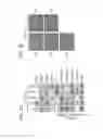Fig. 06 - METHODS USING AXL AS A BIOMARKER OF EPITHELIAL-TO-MESENCHYMAL TRANSITION