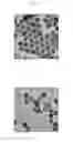 Fig. 02 - Heterogeneous microarray based hybrid upconversion nanoprobe/nanoporous membrane system
