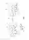 Fig. 05 - Analyte detection utilizing nanoporous glass analyte concentrator
