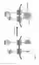 Fig. 11 - Engineered red blood cell-based biosensors