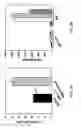 Fig. 03 - MATERIALS AND METHODS FOR EVALUATING AND TREATING NEUROMYELITIS OPTICA (NMO)