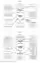 Fig. 02 - COMPOSITIONS AND METHODS FOR DIAGNOSING AND TREATING LYME DISEASE