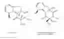 Fig. 01 - METHODS AND COMPOSITIONS FOR DETECTING MYCOTOXINS