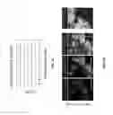 Fig. 03 - Isolation of human lung progenitors derived from pluripotent stem cells