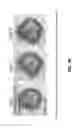 Fig. 11 - Isolation of human lung progenitors derived from pluripotent stem cells