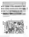 Fig. 16 - Isolation of human lung progenitors derived from pluripotent stem cells