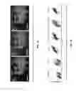 Fig. 21 - Isolation of human lung progenitors derived from pluripotent stem cells