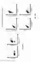 Fig. 43 - Isolation of human lung progenitors derived from pluripotent stem cells