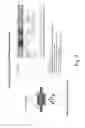 Fig. 08 - ACOUSTIC MICROREACTOR AND METHODS OF USE THEREOF