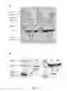 Fig. 02 - METHOD FOR DETECTING CIRCULATING TUMOR CELLS AND USES THEREOF
