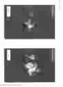 Fig. 33 - Dynamic multidimensional electric potential and electric field quantitative measurement system and method