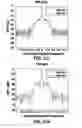 Fig. 41 - Low-contrast metasurfaces