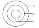 Fig. 01 - High-temperature Resistant and Small-diameter Optical Cable and Preparation Method Thereof