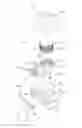 Fig. 01 - AUTOFOCUS ADJUSTMENT APPARATUS