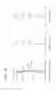 Fig. 19 - Imaging lens