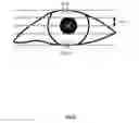 Fig. 05 - Lens position adjustment in a wearable device