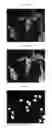 Fig. 11 - Custom multiwell plate design for rapid assembly of photo-patterned hydrogels