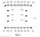 Fig. 04 - A METHOD AND APPARATUS FOR DETERMINING AT LEAST ONE PROPERTY OF PATTERNING DEVICE MARKER FEATURES