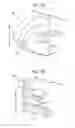 Fig. 08 - Roller unit and image forming apparatus
