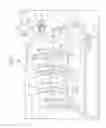 Fig. 02 - Image forming apparatus