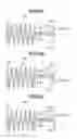 Fig. 07 - Electrode and image forming apparatus including the same