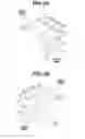 Fig. 05 - Image forming apparatus