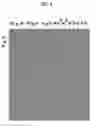 Fig. 05 - Touch sensor, touch panel and electrode structure