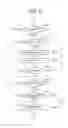 Fig. 06 - Method of displaying image selected from multiple images on touch screen