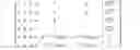 Fig. 24 - Hierarchical data recovery processing for extended product codes