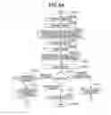 Fig. 15 - Resolving print setting conflicts