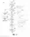 Fig. 03 - SQLScript compilation tracing system