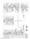 Fig. 11 - SQLScript compilation tracing system