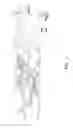 Fig. 07 - PROVIDING ACTIONS FOR ONSCREEN ENTITIES