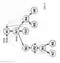 Fig. 05 - Executable graph framework for the management of complex systems