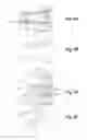 Fig. 05 - Control of a device with respect to its numerical model