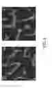 Fig. 06 - Personalized assessment of bone health