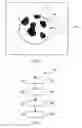 Fig. 04 - Tissue microarray registration and analysis