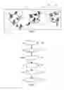 Fig. 06 - Tissue microarray registration and analysis